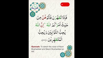 سورة البقرة الآيات ۲۲۲-۲۲۳ | تلاوة خاشعة بصوت الشيخ ياسر الدوسري مع التجويد