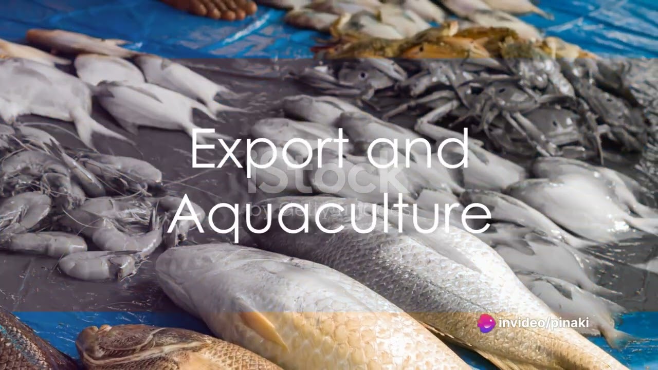 Diving Deep: India's Capture Fishery Resources