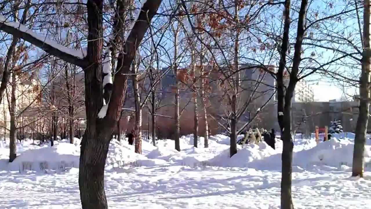 Улица Санникова 17 Аптека