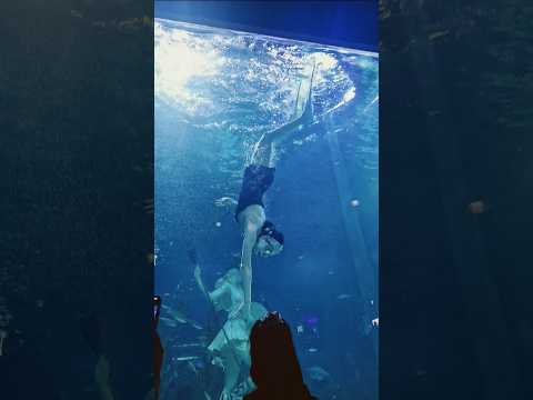 수중발레 🏊‍♂️ 수중공연 공주님이예요~<strong>미녀와야수</strong> #아쿠아리움 #수중발레#수중공연#수중