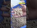 💥 இந்த மெஷின் use பண்ணா லாபம் guaranteed! - Pellet Making machine #shorts #reels #cattlecare