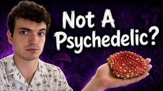Amanita Muscaria vs Psilocybin: How Fly Agaric Works (Muscimol, Ibotenic Acid)