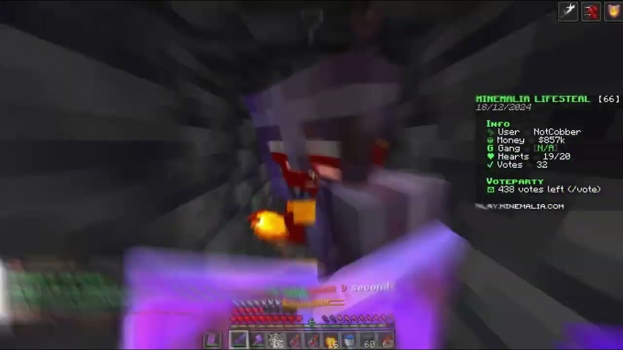 TrashTalker Destroyed After TrashTalking tMinemalia Lifesteal