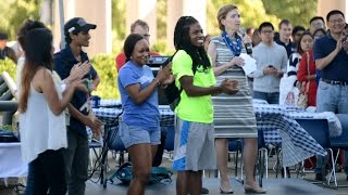 Chancellor's Picnic 2015