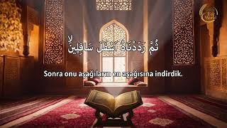 MUHAMMED EL FAKİH -095 Tin Suresi #mohammedalfaqih #quran