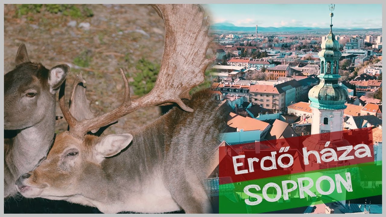 Erdő Háza - Sopron