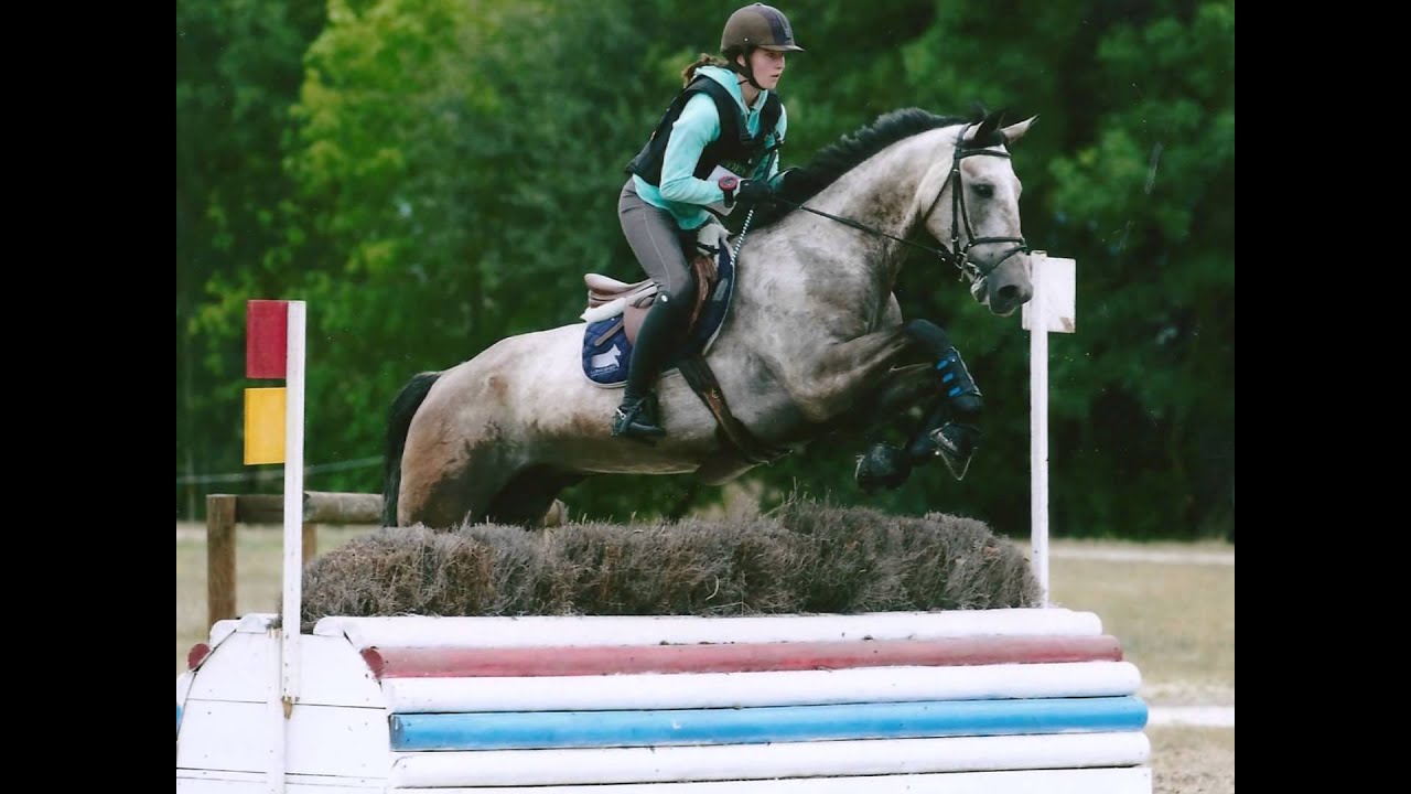 Lamotte Beuvron 2015 Partie 2 YouTube