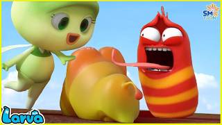 LARVA SEASON 2 🍟 LARVA NEW VERSION 2026 | LARVA CARTOON MOVIES | FUNNY CLIP 2026