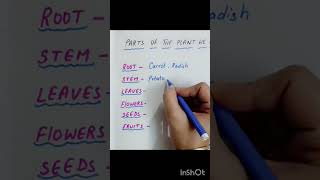 parts of the plants we eat #kidslearningvideo #youtubeshorts #youtube #shortvideo #shortfeed
