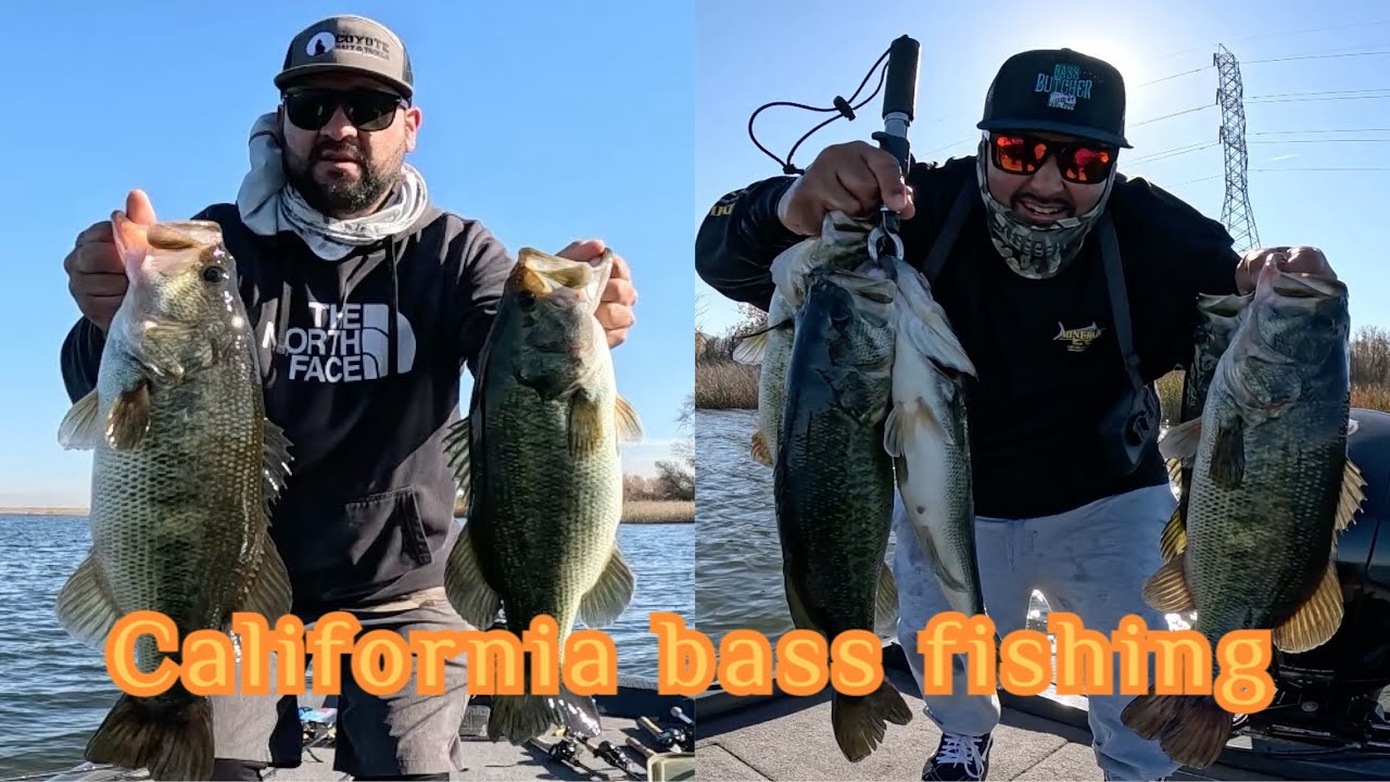 WINTER BASS FISHING FOR CALIFORNIA LARGEMOUTH