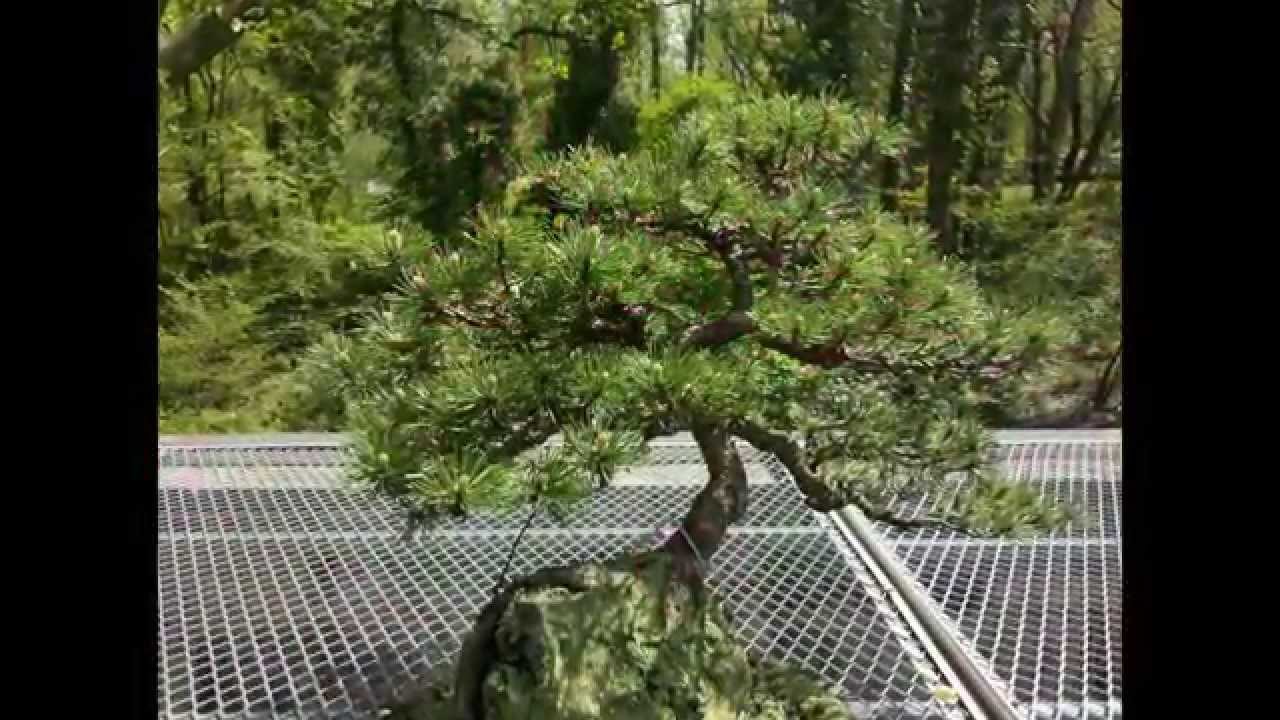 New Jersey Deep Cut Gardens Park 