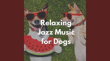 Magical Backdrops for Lazy Hound