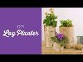 How to Make Wood Log Planters