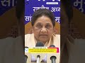‘Ploy to hide shortcomings’: Mayawati slams BJP & Congress