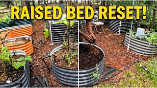 I RESET My Vegega Circular Raised Bed! 🌱 From Worn Out to Garden-Ready
