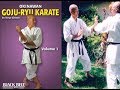 Goju Ryu basics