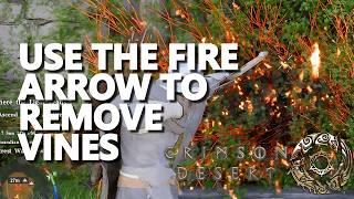 Use The Fire Arrow To Remove Vines Crimson Desert