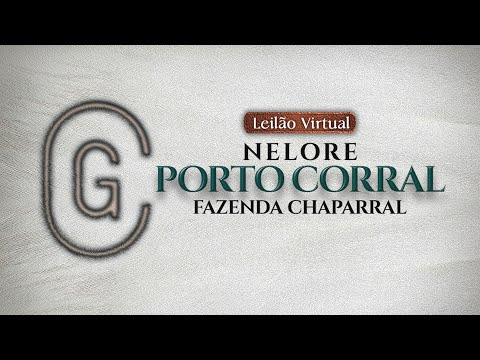 LOTE 26