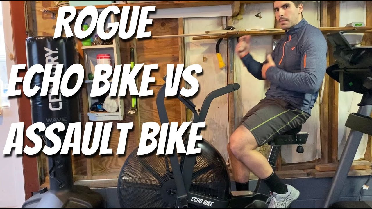 ROGUE ECHO BIKE vs ASSAULT BIKE! Biggest Difference - YouTube