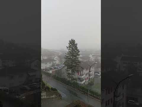 یەکەم بەفری ئەمساڵ لە ناو شار سوئیس سویسڕا زستان بەفر سەرما کوردستان