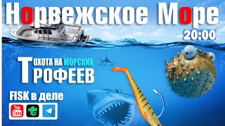 Охота на морских трофеев • Троллинг • Ловля в отвес • Русская Рыбалка 4 • Норвежское Море