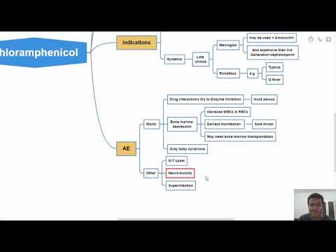 China ivermectin