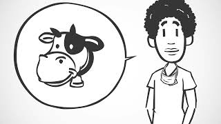 Celebrity Vet Tech 101: What It Means to Be a Certified Veterinary Technician Net Worth