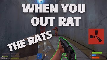 POV :  You out rat, the rats #rustshorts