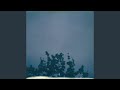 琥珀の遠景君島大空