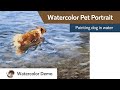 Watercolor pet portrait - dog playing in water