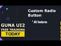Guna UI2 Custom Radio Button