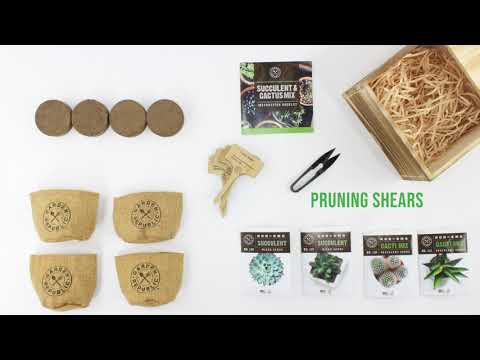 Video: Easy Succulent Starter Kit: How To Use A Succulent Plant Kit