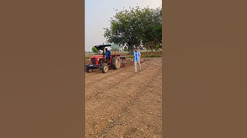 #viral #shorts #haryanvi #systempesystem #jaatstatus #jaat #haryanvisong #trendingshorts #ytshorts