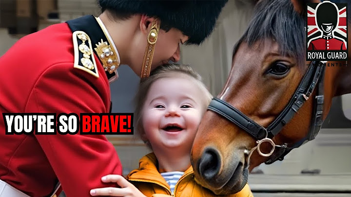 When Royal Guards Put Kindness Before the Rules – Heartwarming Moments