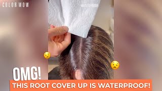 How to Cover Gray Hair in 1 Step | The Best Product to Cover Grays & Roots screenshot 5