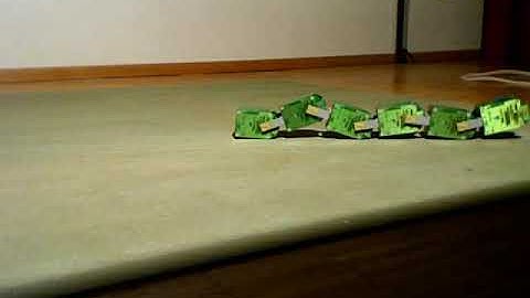 YaMoR modular robot, snake configuration, random CPG parameter gait initialisation.