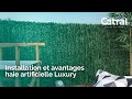 Comment installer la haie artificielle luxury catral et caractristiques  catral garden