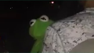 Kermit sings Usher Full Original Video (GOODBYE VINE)