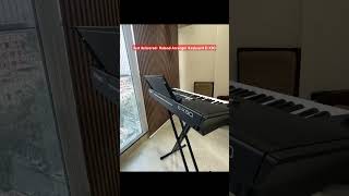 Roland Arranger Keyboard E-X 50