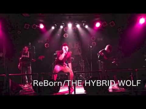 【ライブ映像】ReBorn/THE HYBRID WOLF(13.08.07.in立川バベル)