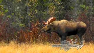 Outdoor Bound TV Episode 52 - Jeff Schafer Manitoba Moose