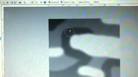 FeralHeart Map Making Tutorial