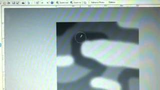 FeralHeart Map Making Tutorial