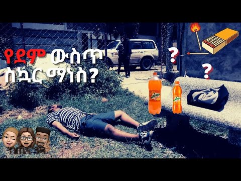 ቪዲዮ: ለቤት እንስሳትዎ የመጀመሪያ እርዳታ እንዴት እንደሚሰጡ