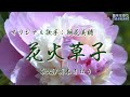 花火草子 (朝花美穂さん)唄/真木さおり