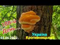 Україна Кропивницький 100 й день безглуздя