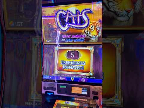 Suomalaisille Casino Pelatile: Pelota Slotbunny Kasinoa Verkossa