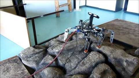 Experiment on the mockup: Adaptive Motion Planning for  a Walking  Robot