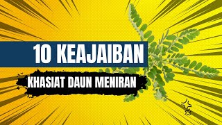 Manfaat Daun Meniran Untuk Kesehatan  10 Keajaiban Khasiat Daun Meniran