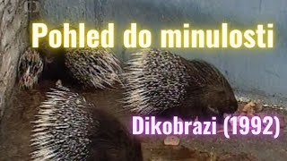 POHLED DO MINULOSTI. Dikobrazi (1992)